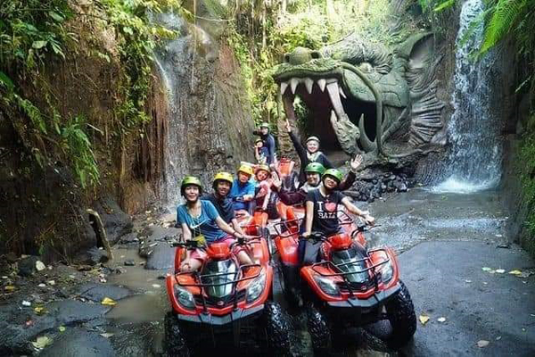 bali private driver experience