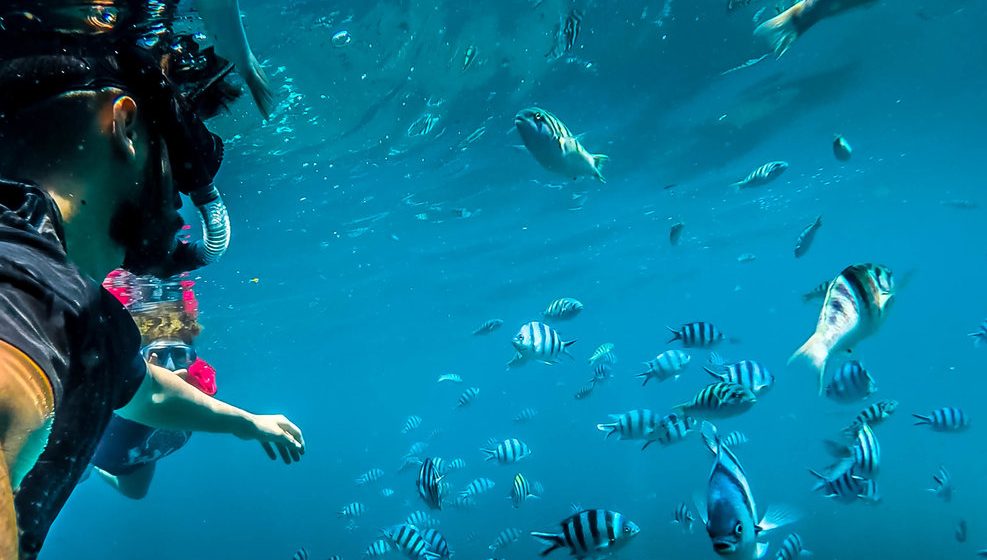 ubud taxi service driver snorkelling