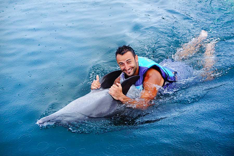 ubud taxi service driver swimming with dolphin