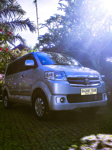 best bali private driver experience ragane bali tour