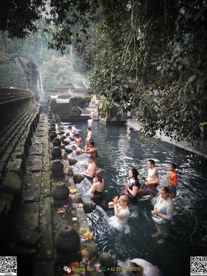 ubud taxi service driver to tirta empul holly water temple