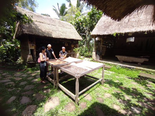 ubud-taxi-driver-service-in-ubud-bali-for-one-day-trip-and-and-tour-air-port-pick-up-drop-luwak-coffee-agrotourism-plantation (17)