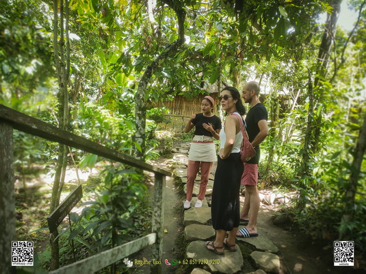 ubud taxi service driver
