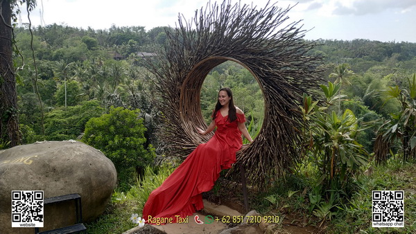 ubud-taxi-driver-service-in-ubud-bali-for-one-day-trip-and-and-tour-air-port-pick-up-drop-luwak-coffee-agrotourism-plantation-jungle swing (20)
