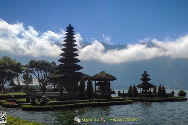 ubud taxi service driver