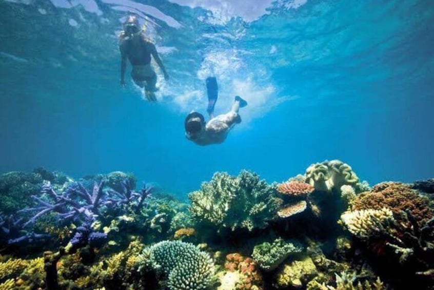 ubud taxi service driver snorkelling