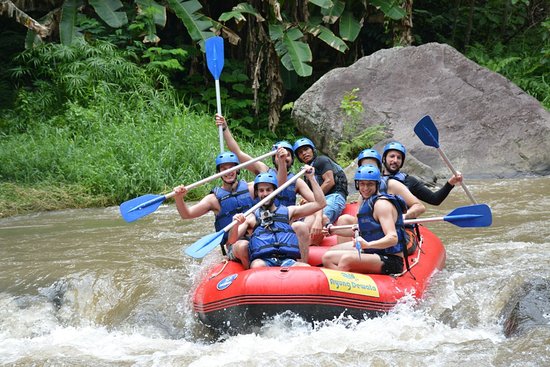 ubud-taxi-ragane-bali-tour- (3)