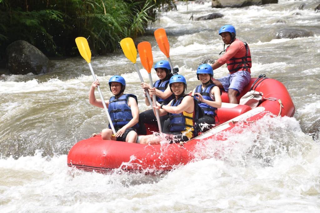 ubud-taxi-ragane-bali-tour- (4)