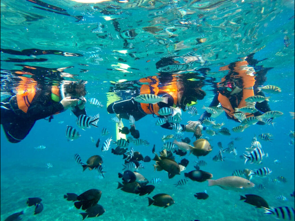 the 10 best thing to do in bali