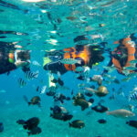 the 10 best thing to do in bali