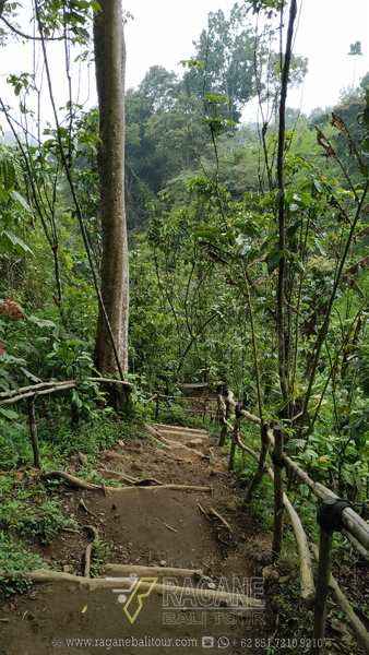 Banyumala Twin Waterfall Wanagiri