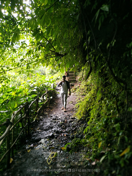 Banyumala Twin Waterfall Wanagiri