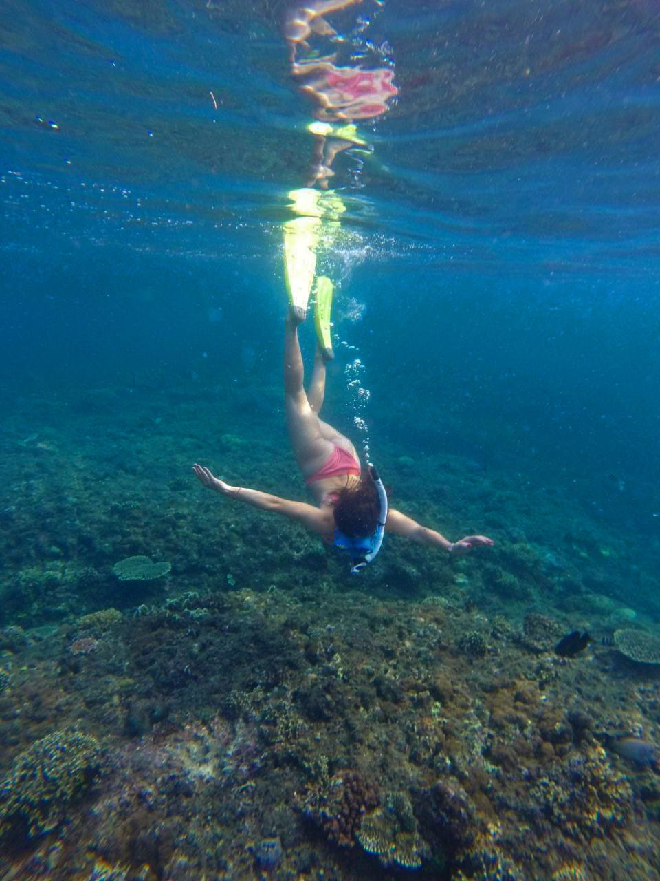 Best snorkeling spot for beginner in Bali