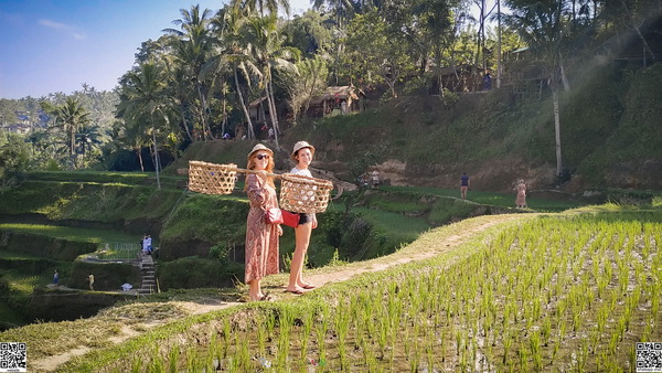 the 10 best thing to do in bali