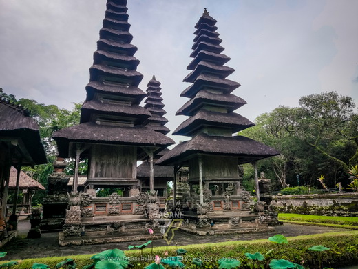 ubud taxi service and ubud private driver for one day trip and and tour go to taman ayun temple