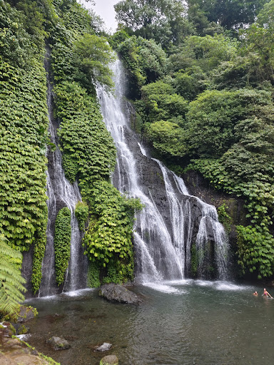 Photo from customer review